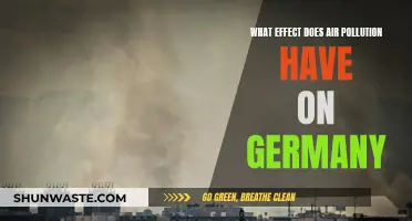 Air Pollution's Impact on Germany's Environment