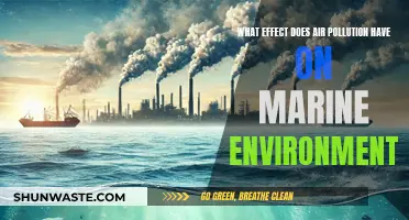 Air Pollution's Impact on Marine Life and Oceans