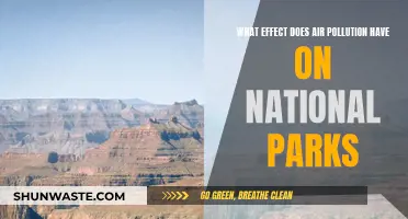 Air Pollution's Impact on National Parks