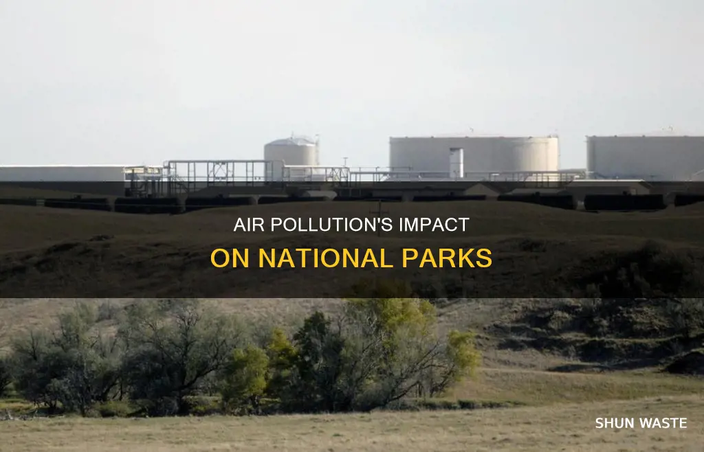what effect does air pollution have on national parks