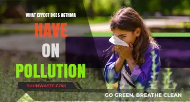 Asthma and Pollution: A Dangerous Duo
