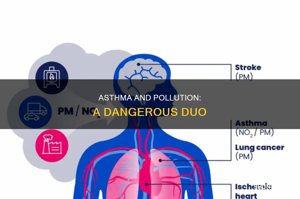 what effect does asthma have on pollution