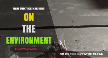 Cans' Environmental Impact: Recycling, Waste, and Sustainability Explained