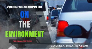 How Car Pollution Harms Our Environment