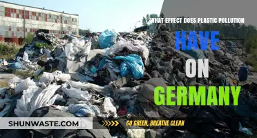 Germany's Plastic Pollution: Impact and Solutions
