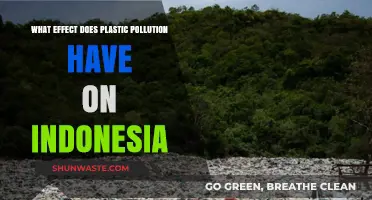 Plastic Pollution: Indonesia's Environmental Crisis