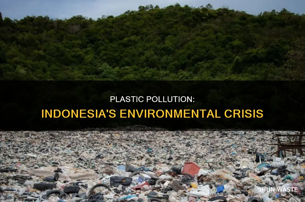 what effect does plastic pollution have on indonesia