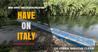 Plastic Pollution: Italy's Environmental Crisis