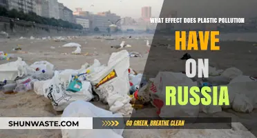 Russia's Plastic Pollution: Impact and Solutions