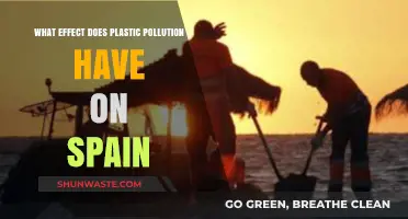 Plastic Pollution's Impact on Spain's Environment