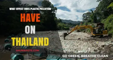 Plastic Pollution: Thailand's Environmental Crisis