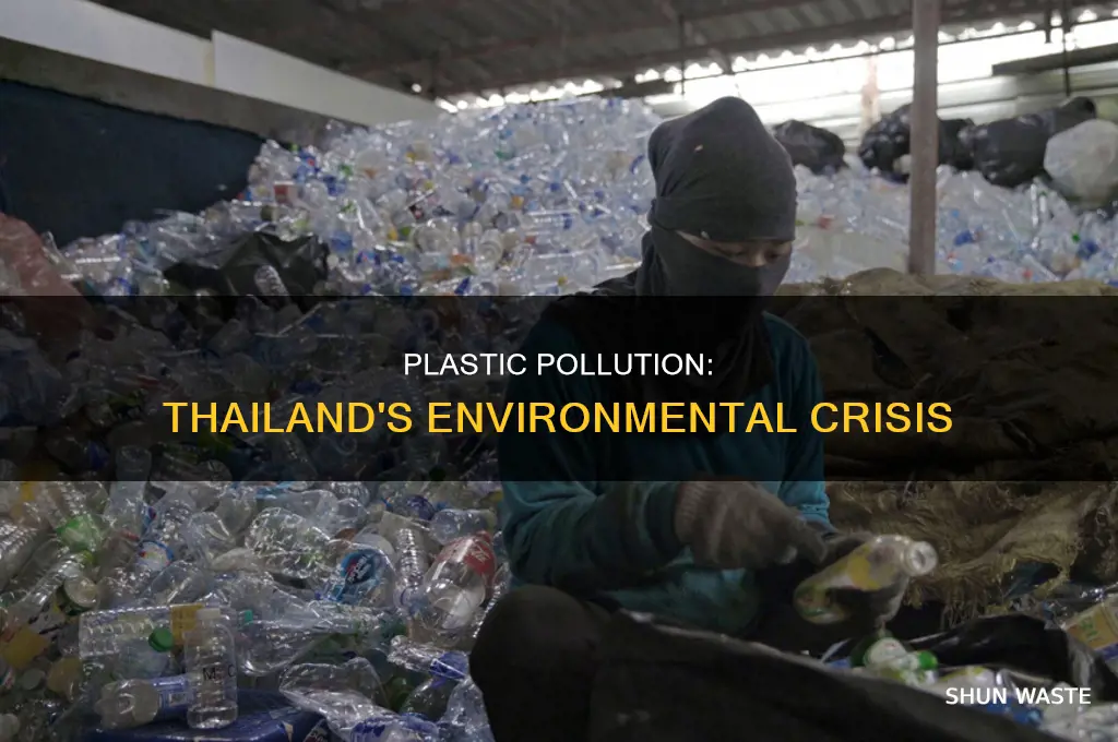 what effect does plastic pollution have on thailand