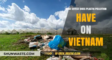 Plastic Pollution: Vietnam's Environmental Crisis