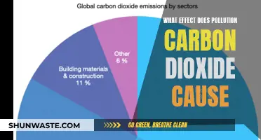 Unveiling the Impact: Carbon Dioxide's Pollution Legacy