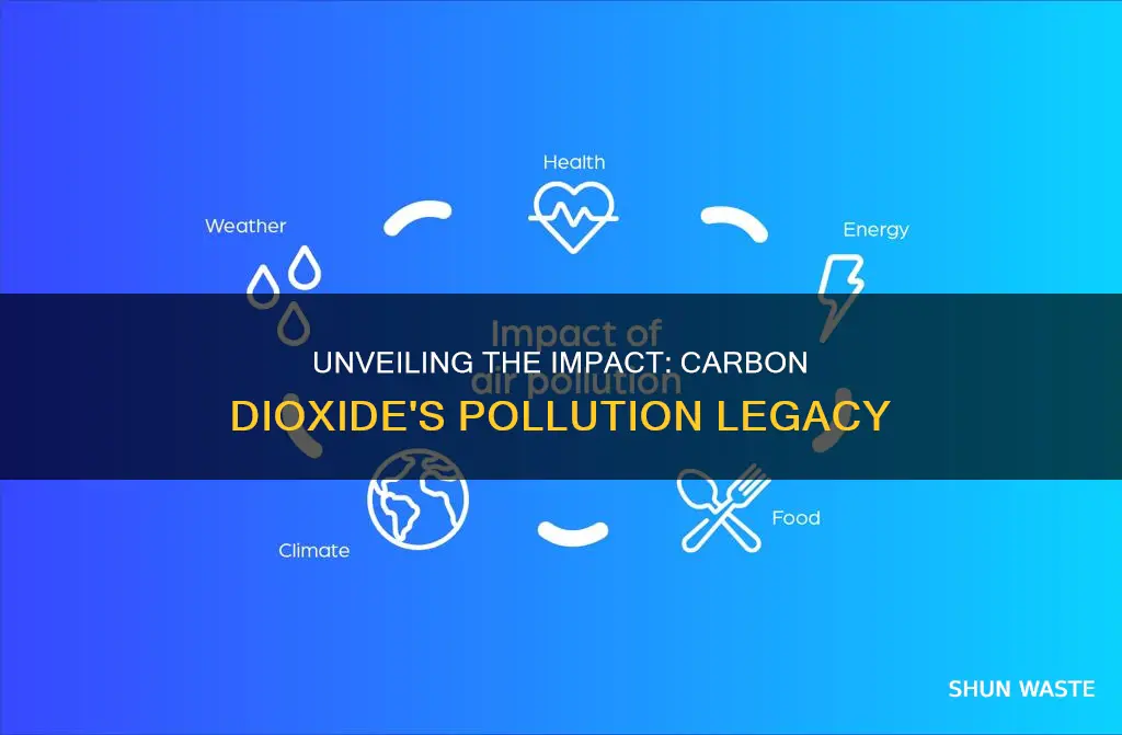 what effect does pollution carbon dioxide cause