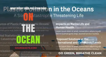 Ocean Pollution: Understanding the Devastating Impact