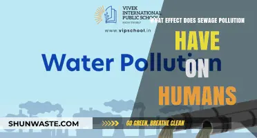Sewage Pollution: Understanding Its Impact on Human Health