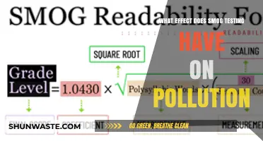 Smog Tests: Effective Pollution Control?