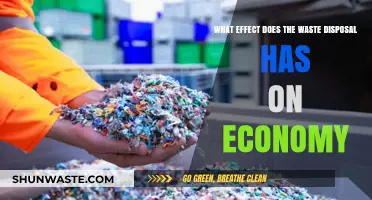 Economic Impact of Waste Disposal: A Critical Analysis