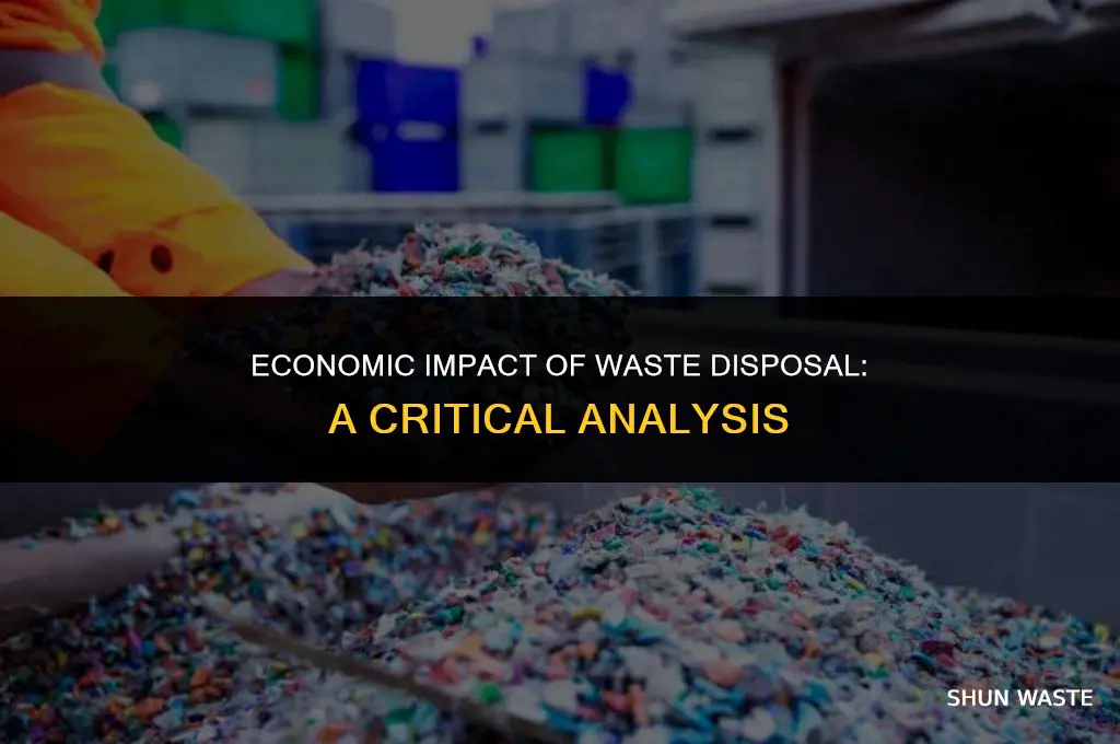 what effect does the waste disposal has on economy