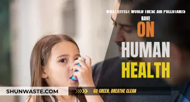 Air Pollutants: Impacting Human Health and Wellbeing
