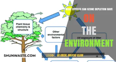 Ozone Depletion's Devastating Environmental Impacts: Consequences and Concerns
