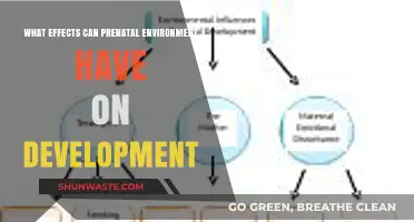 Prenatal Environment's Impact: Shaping Development Before Birth and Beyond