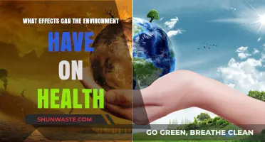 Environmental Impacts on Health: Exploring the Hidden Connections and Consequences