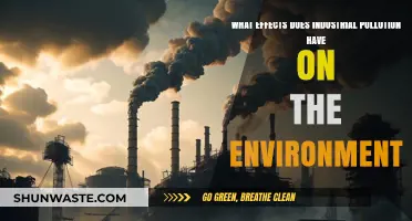 Industrial Pollution: Damaging Our Environment, Our Future