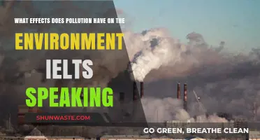 Pollution's Impact: Environment's Bane
