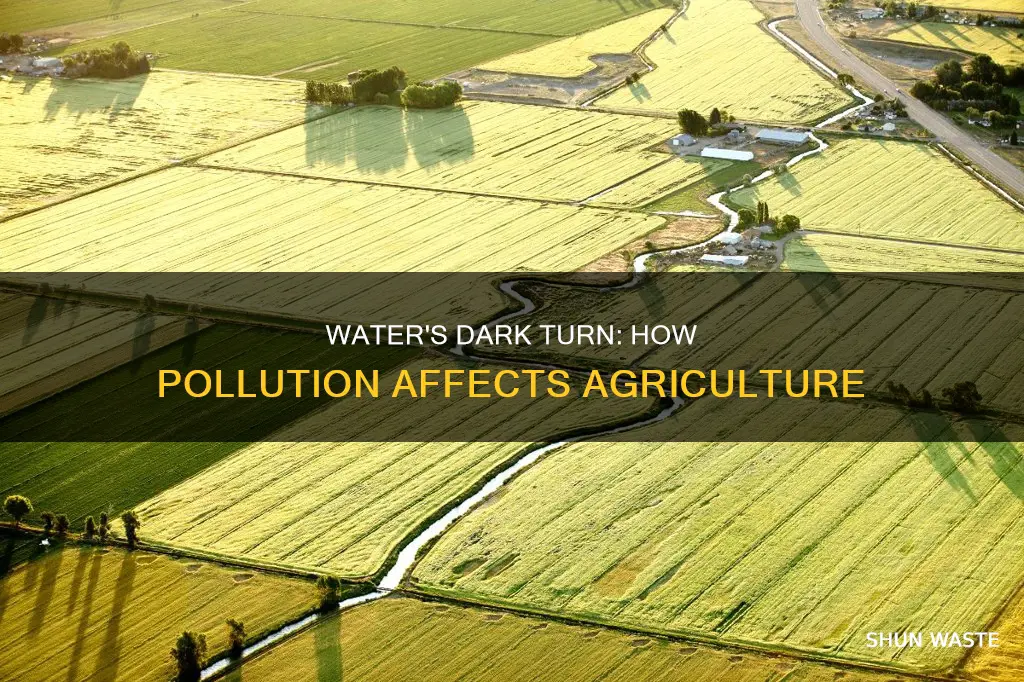 what effects does water pollution have in the agricultural sector