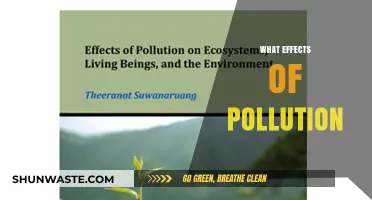 Pollution's Impact: Understanding the Devastating Effects