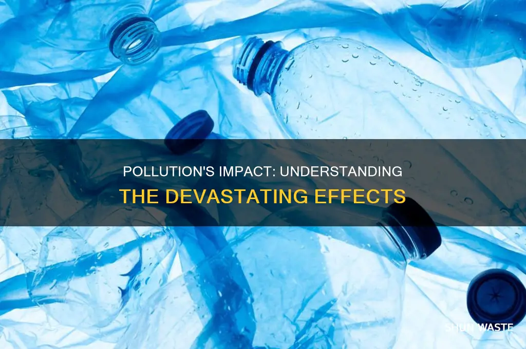 what effects of pollution