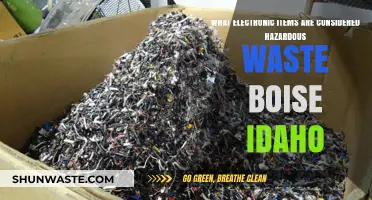 E-Waste Alert: Boise's Guide to Hazardous Electronic Disposal