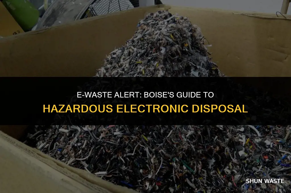 what electronic items are considered hazardous waste boise idaho