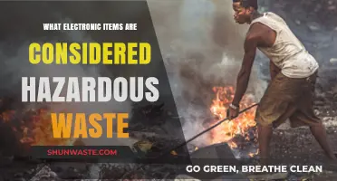 Decoding E-Waste: Which Electronic Items Pose a Hazard?