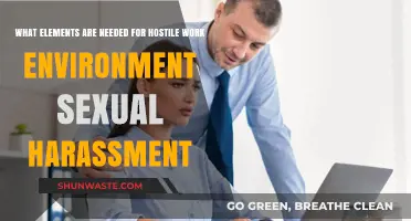 Key Elements Defining a Hostile Work Environment Through Sexual Harassment
