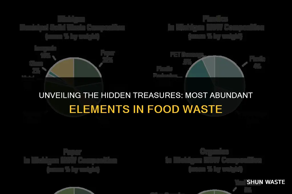 what elements are the most abundant in food waste