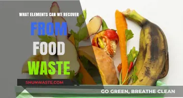 From Scraps to Resources: Unveiling the Hidden Treasures in Food Waste