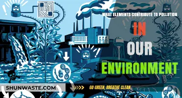 Human Impact: Environmental Pollution Sources