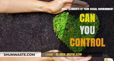 Mastering Your Social Sphere: Controlling Key Environmental Factors for Growth
