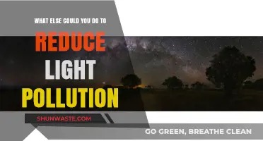 Simple Steps to Reduce Light Pollution