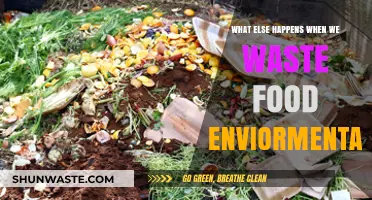 The Hidden Environmental Costs of Food Waste: A Comprehensive Look