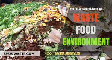 The Hidden Environmental Costs of Food Waste: A Comprehensive Look