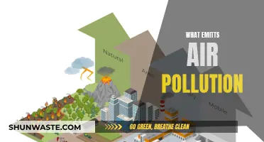 Air Pollution: What's the Culprit?