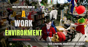Creating Ideal Workplaces: Understanding Employee Needs for a Thriving Environment