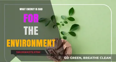 Harmful Energy Sources: Environmental Impact and Sustainable Alternatives Explored