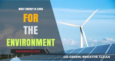Sustainable Energy Choices: Eco-Friendly Power for a Greener Future
