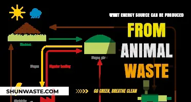 Sustainable Power: Harnessing Energy from Animal Waste