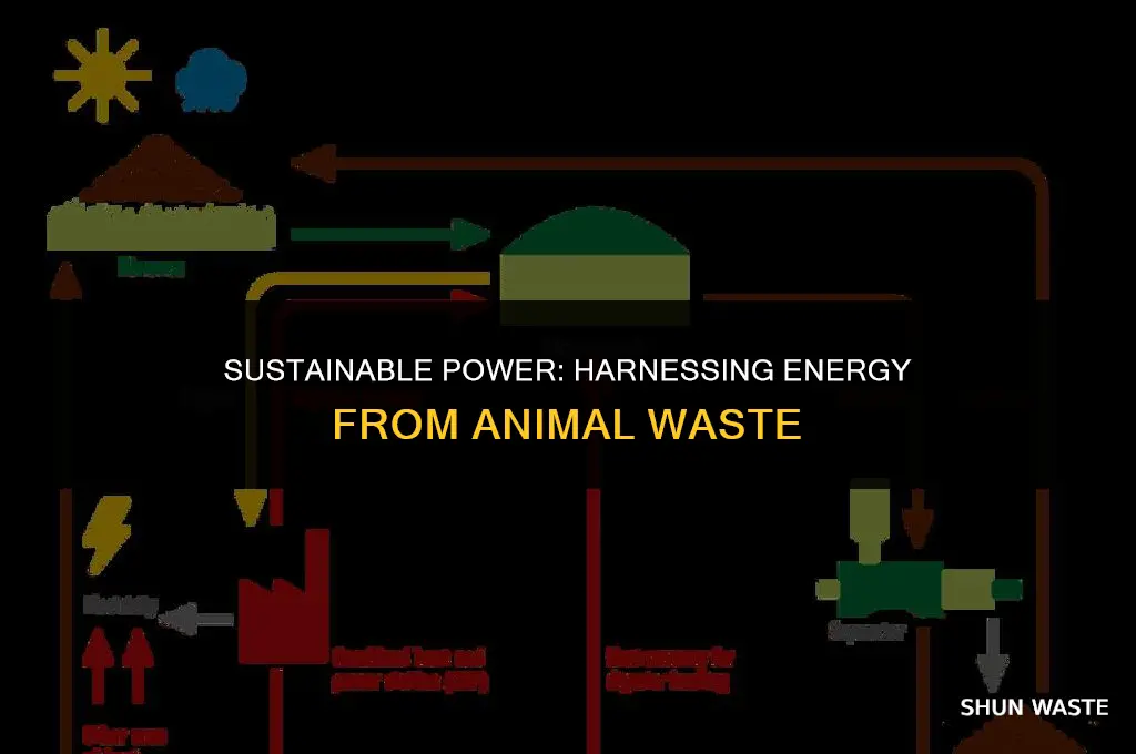 what energy source can be produced from animal waste